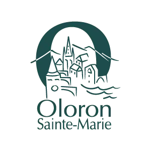 Panneaux solaires à Oloron Sainte-Marie