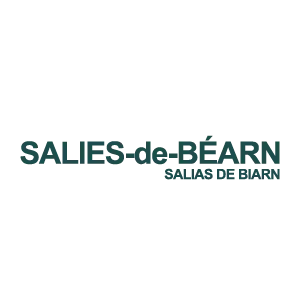 Panneaux solaires à Salies-de-Bearn