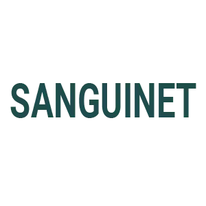Panneaux Solaires à Sanguinet