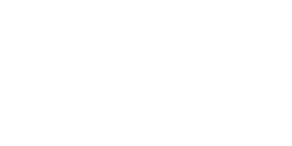 Dualsun
